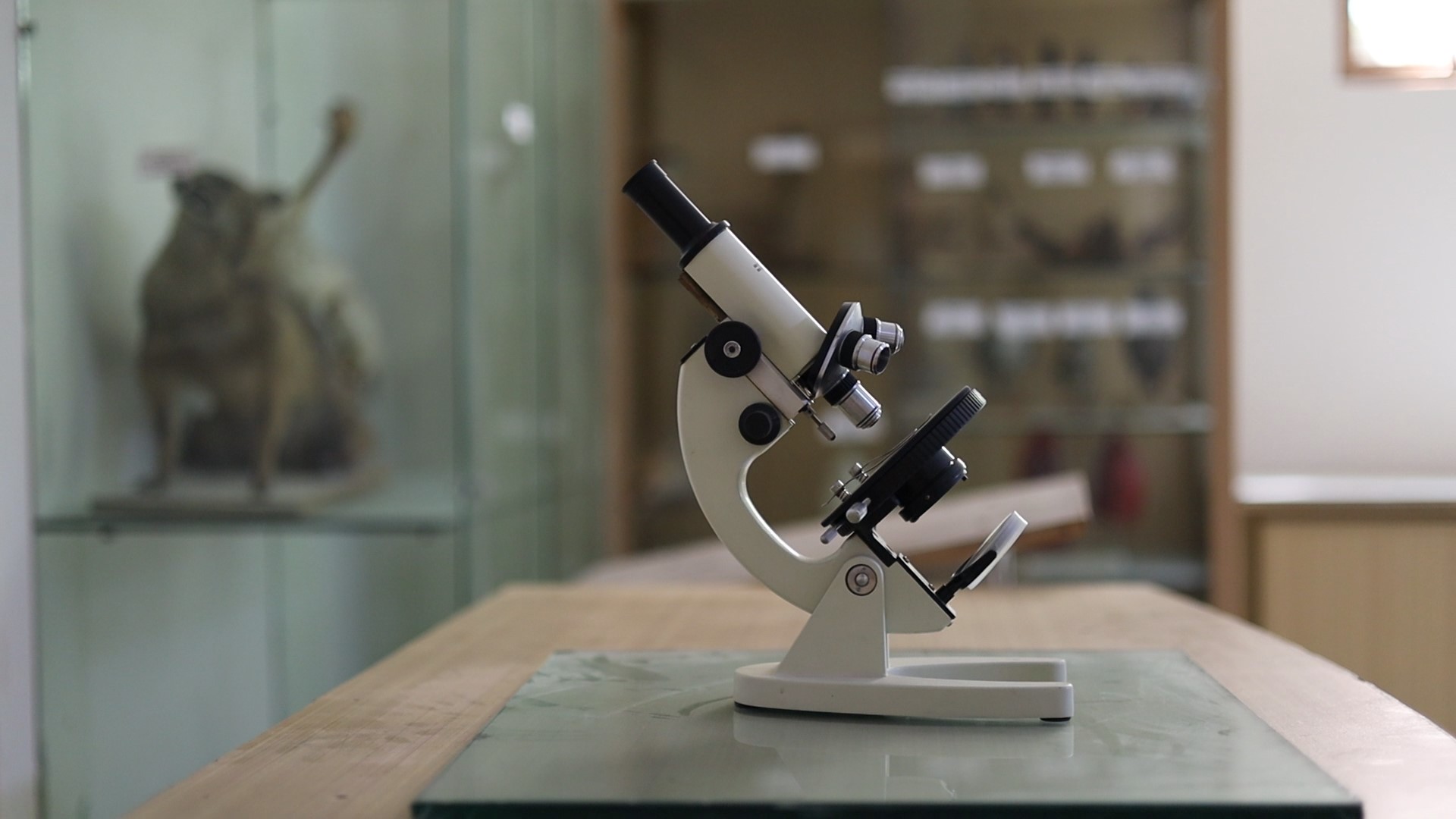 Biology Lab - Thumbnail 3